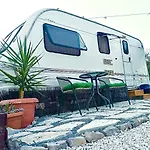 キャンプ場 Olive Grove Mountain Caravan