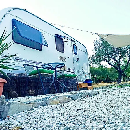 Olive Grove Mountain Caravan *