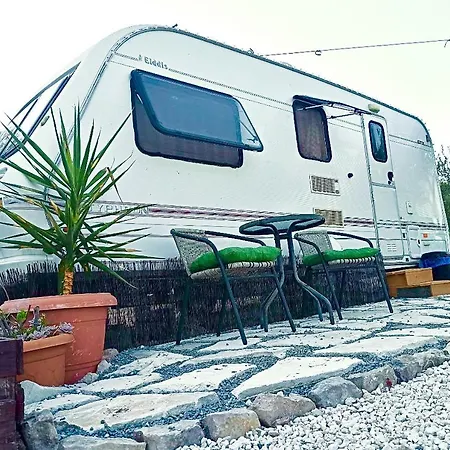 캠프장 Olive Grove Mountain Caravan