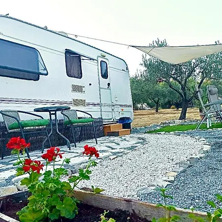 캠프장 Olive Grove Mountain Caravan