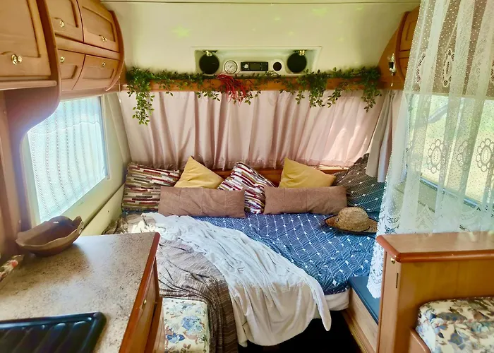 Olive Grove Mountain Caravan Camping