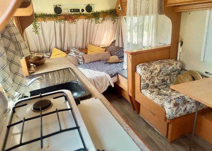 Olive Grove Mountain Caravan Camping