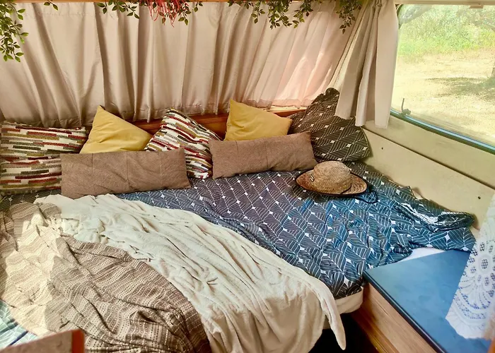 Olive Grove Mountain Caravan Camping Limnatis