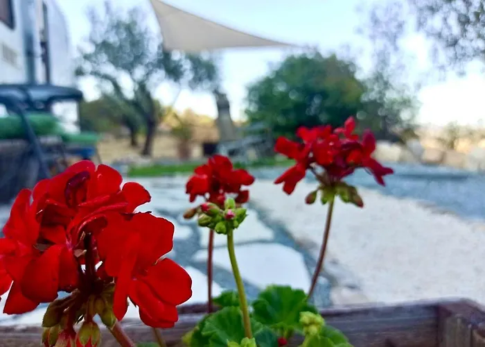 Olive Grove Mountain Caravan * Limnatis