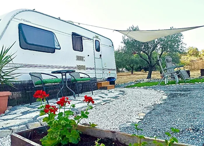 Camping Olive Grove Mountain Caravan