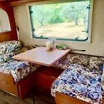 Olive Grove Mountain Caravan *