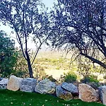 Olive Grove Mountain Caravan Camping