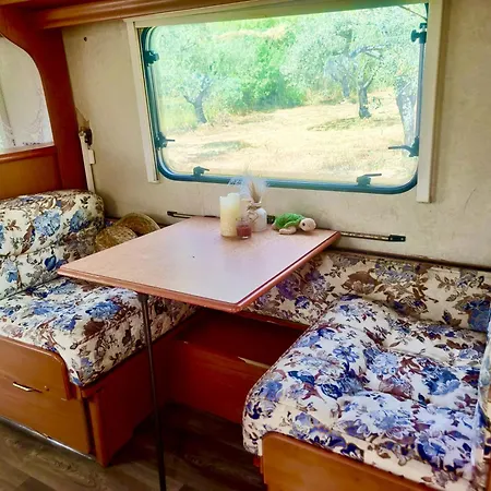 Olive Grove Mountain Caravan *