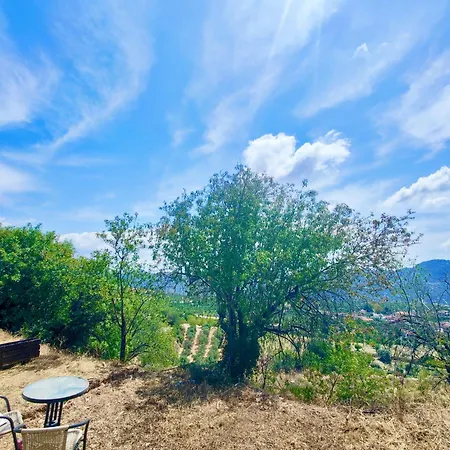 Olive Grove Mountain Caravan
