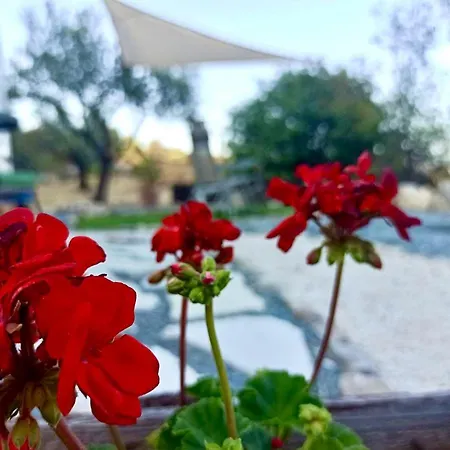 Olive Grove Mountain Caravan * Limnatis