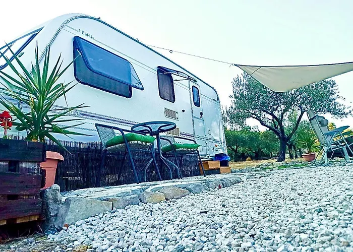 Olive Grove Mountain Caravan *